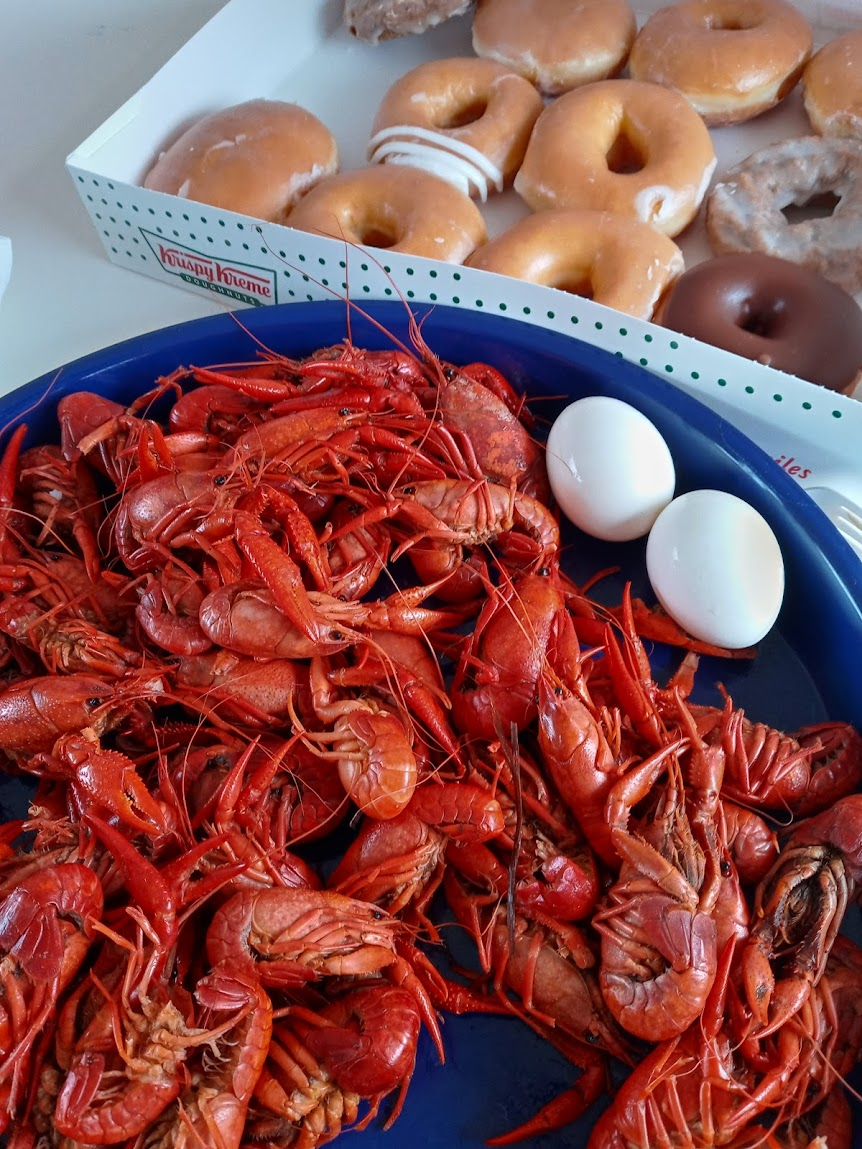 “Summer in Louisiana: 10 Joyful Picks